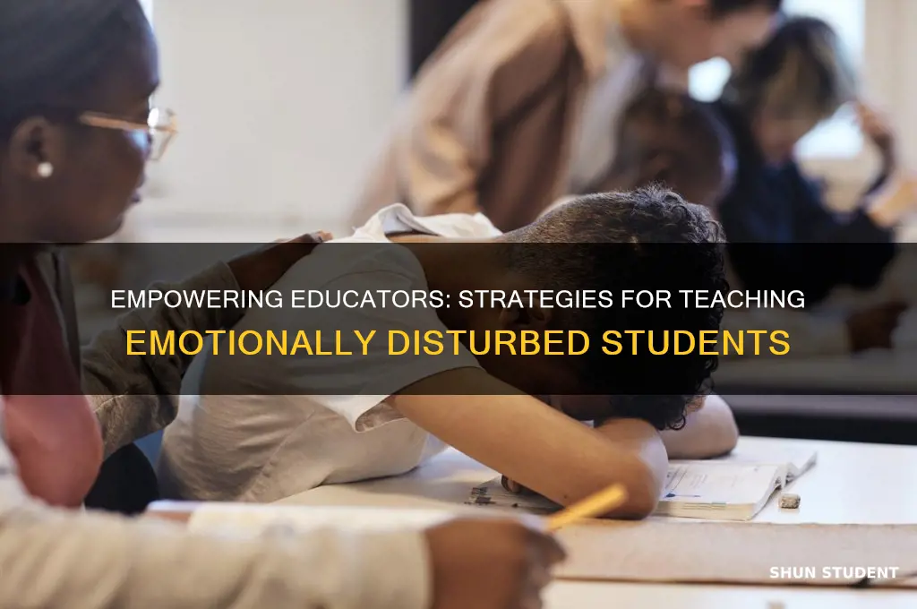 how to teach students with emotional disturbance