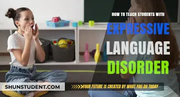 Effective Strategies for Teaching Students with Expressive Language Disorder