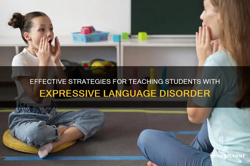 how to teach students with expressive language disorder