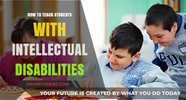 Empowering Learning: Strategies for Teaching Students with Intellectual Disabilities