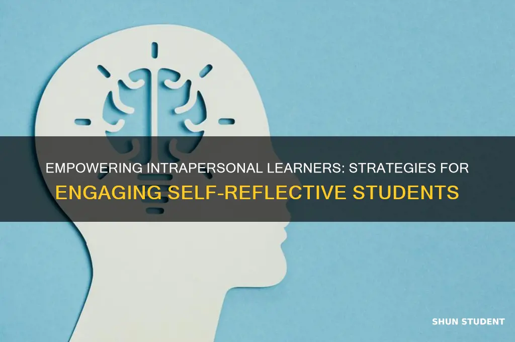 how to teach students with intrapersonal learning style