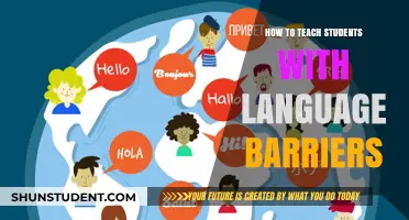 Overcoming Language Barriers: Effective Strategies for Inclusive Student Learning