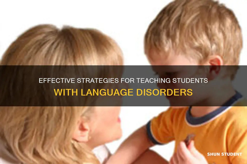 how to teach students with language disorders
