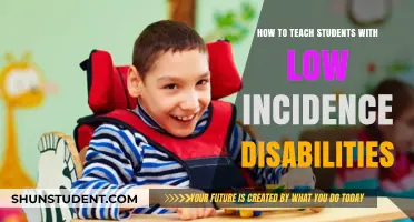 Empowering Educators: Strategies for Teaching Students with Low Incidence Disabilities