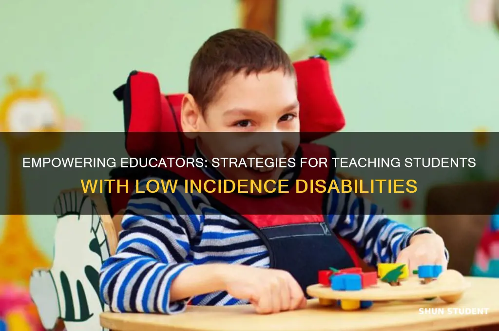 how to teach students with low incidence disabilities