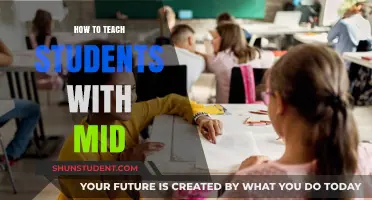 Effective Strategies for Teaching Students with Mild Intellectual Disabilities