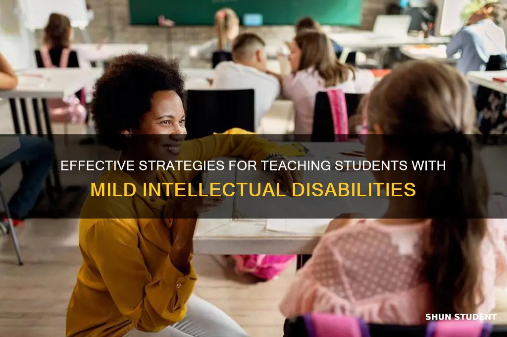 how to teach students with mid
