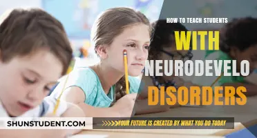 Empowering Learners: Strategies for Teaching Neurodevelopmental Disorders