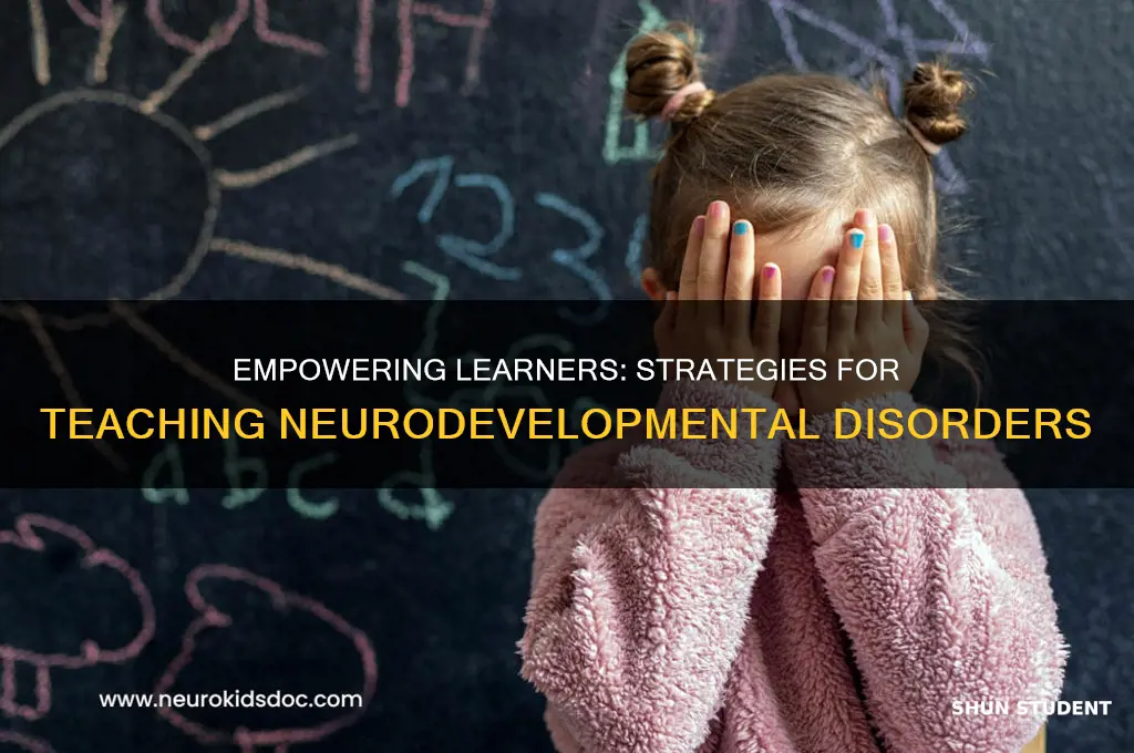 how to teach students with neurodevelopmental disorders