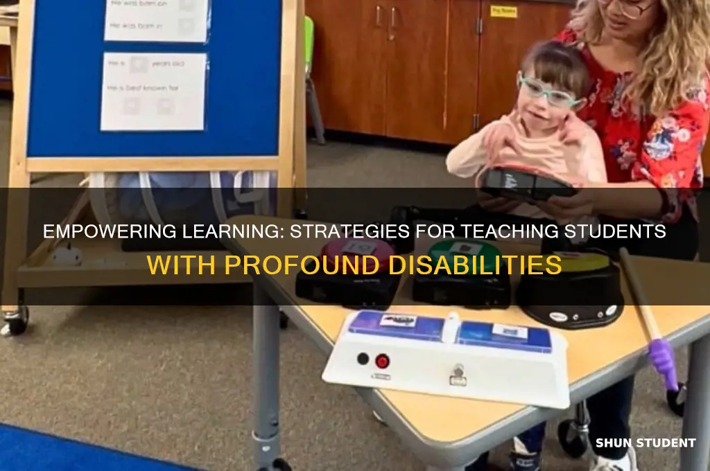 how to teach students with profound disabilities