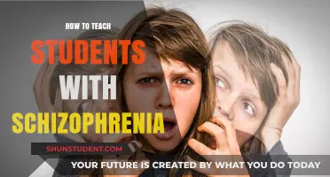 Empowering Educators: Strategies for Teaching Students with Schizophrenia