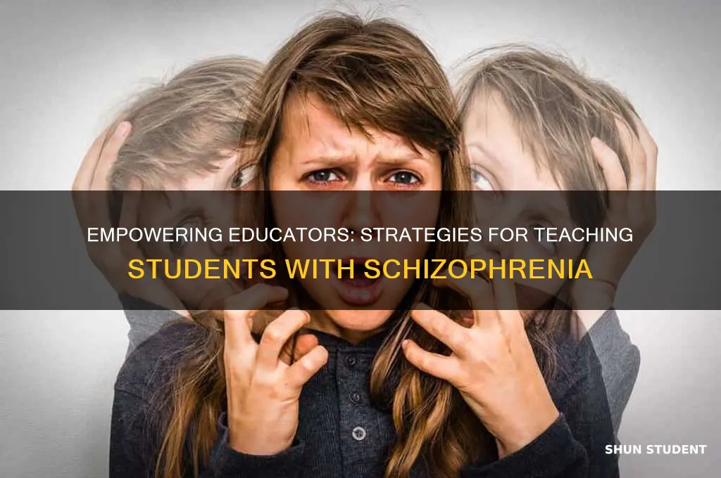 how to teach students with schizophrenia