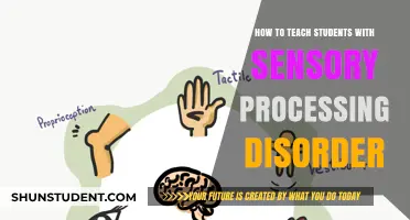 Teaching Strategies for Students with Sensory Processing Disorder