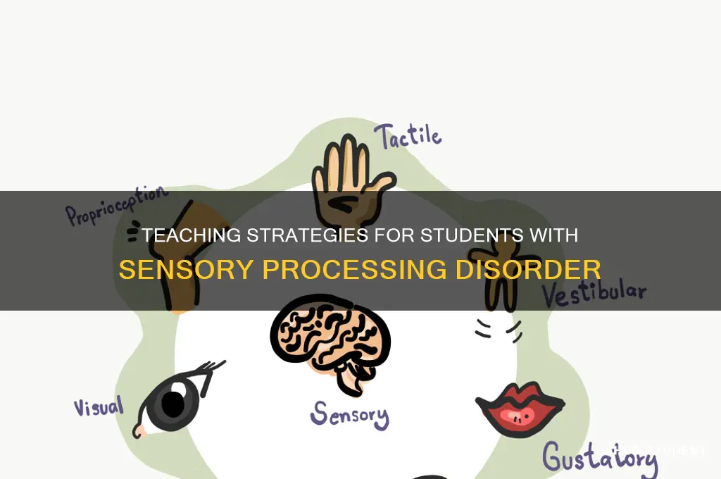 how to teach students with sensory processing disorder