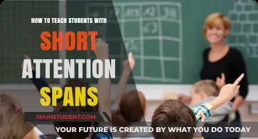 Engaging Strategies for Teaching Students with Short Attention Spans