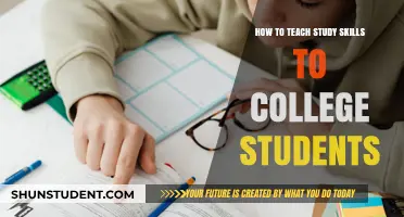 Mastering Study Skills: Effective Strategies for College Student Success