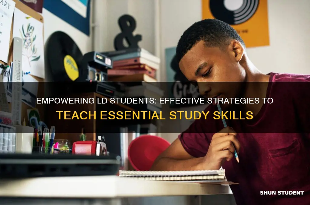 how to teach study skills to ld students