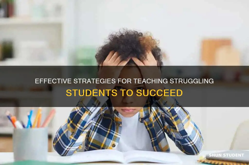 how to teach stupid students
