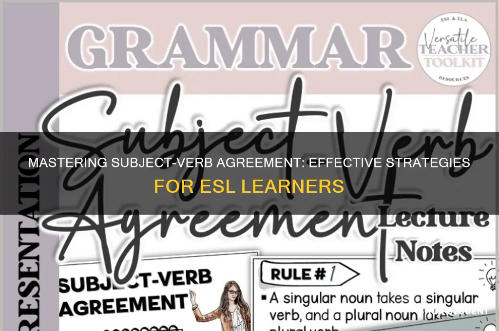 how to teach subject verb agreement to esl students