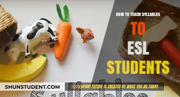Effective Strategies for Teaching Syllables to ESL Learners