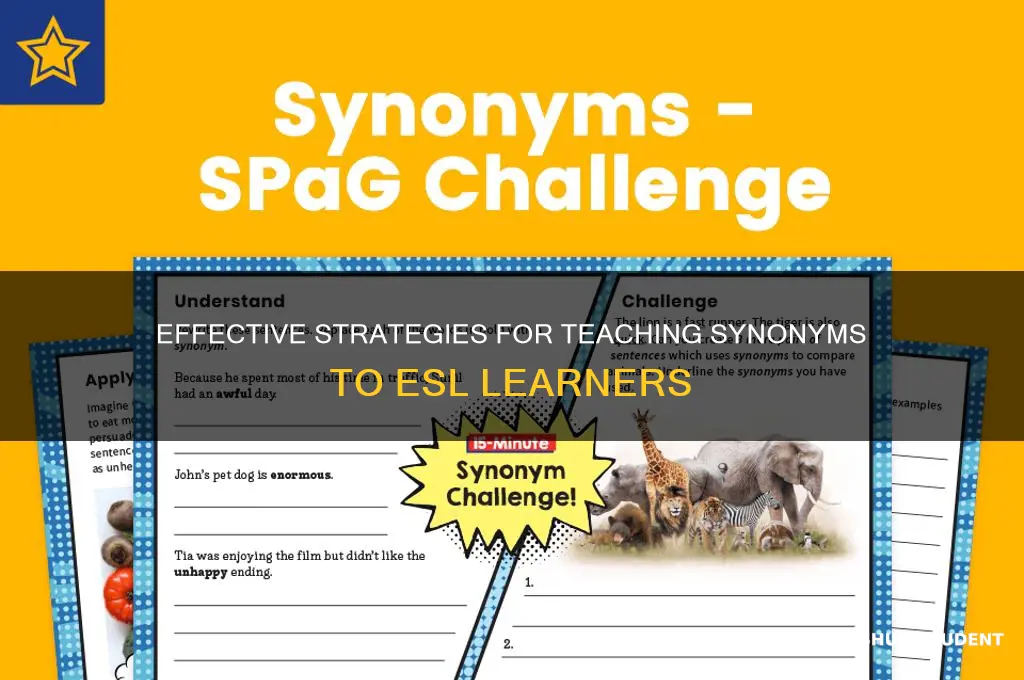 how to teach synonyms to esl students