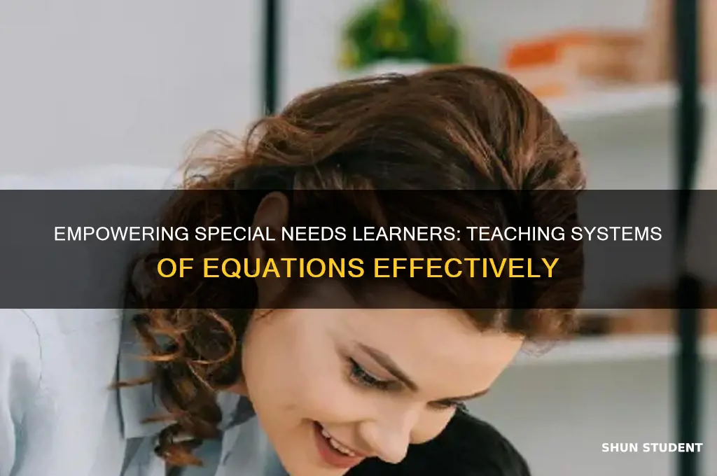 how to teach system of equations to special needs students