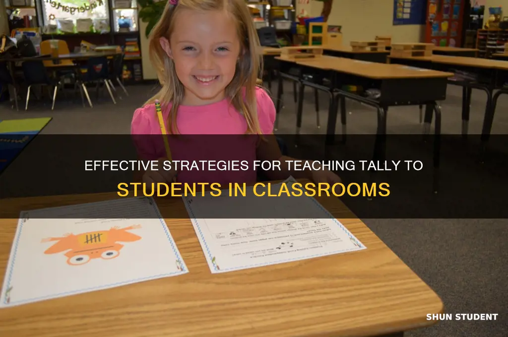 how to teach tally to students