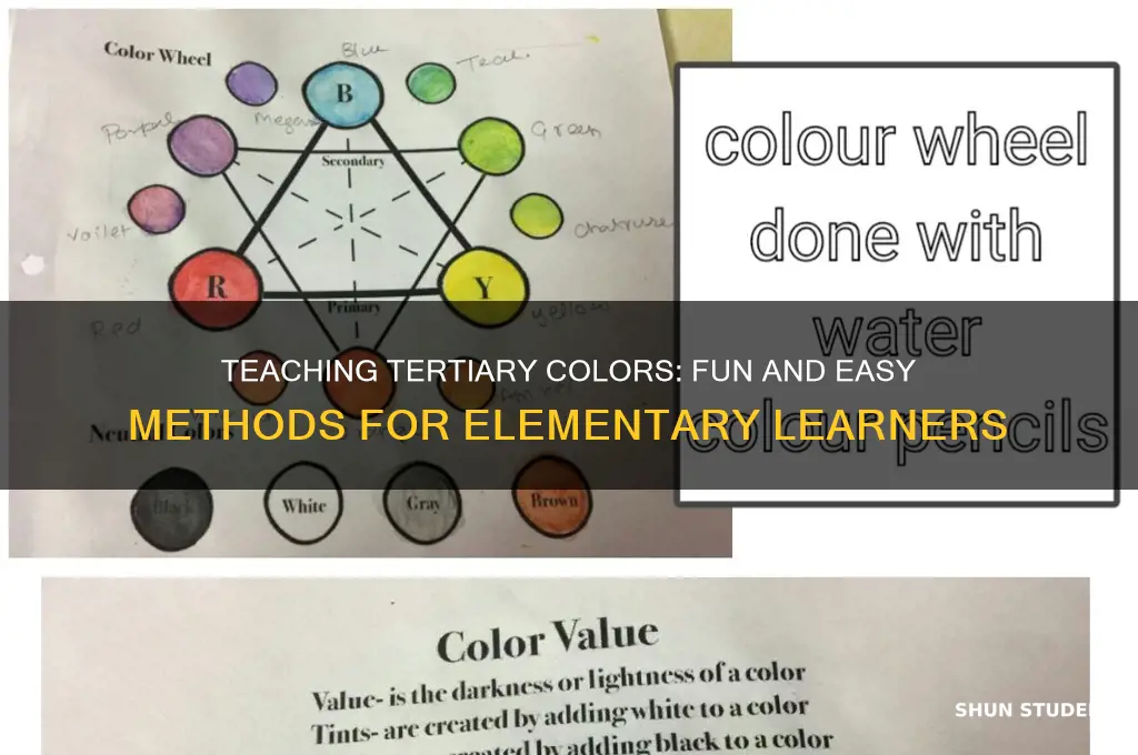 how to teach tertiary colors to elementary students