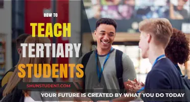 Effective Strategies for Engaging and Teaching Tertiary Students Successfully