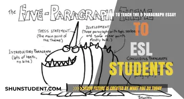 Mastering the 5-Paragraph Essay: A Guide for ESL Learners