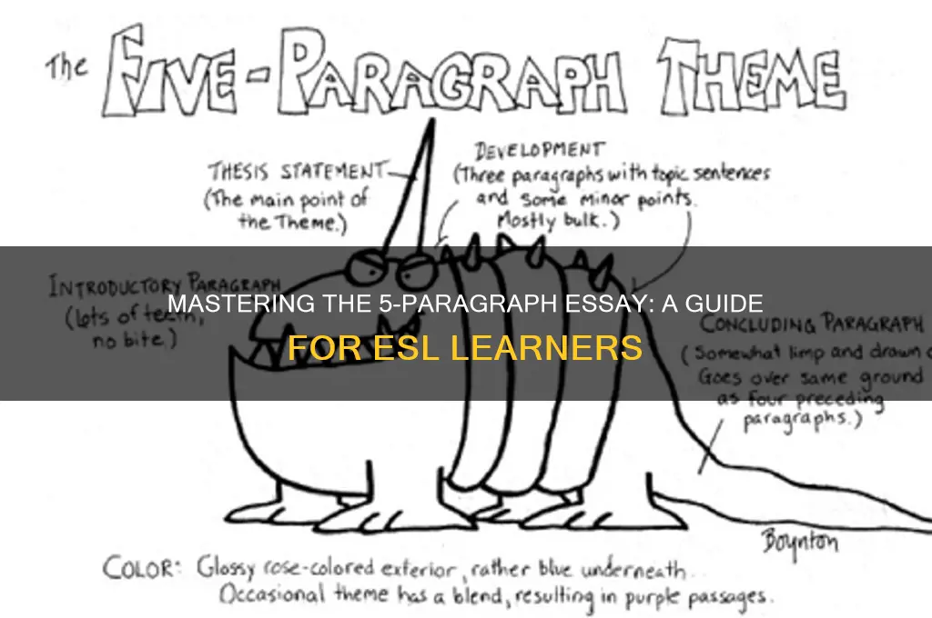 how to teach the 5 paragraph essay to esl students