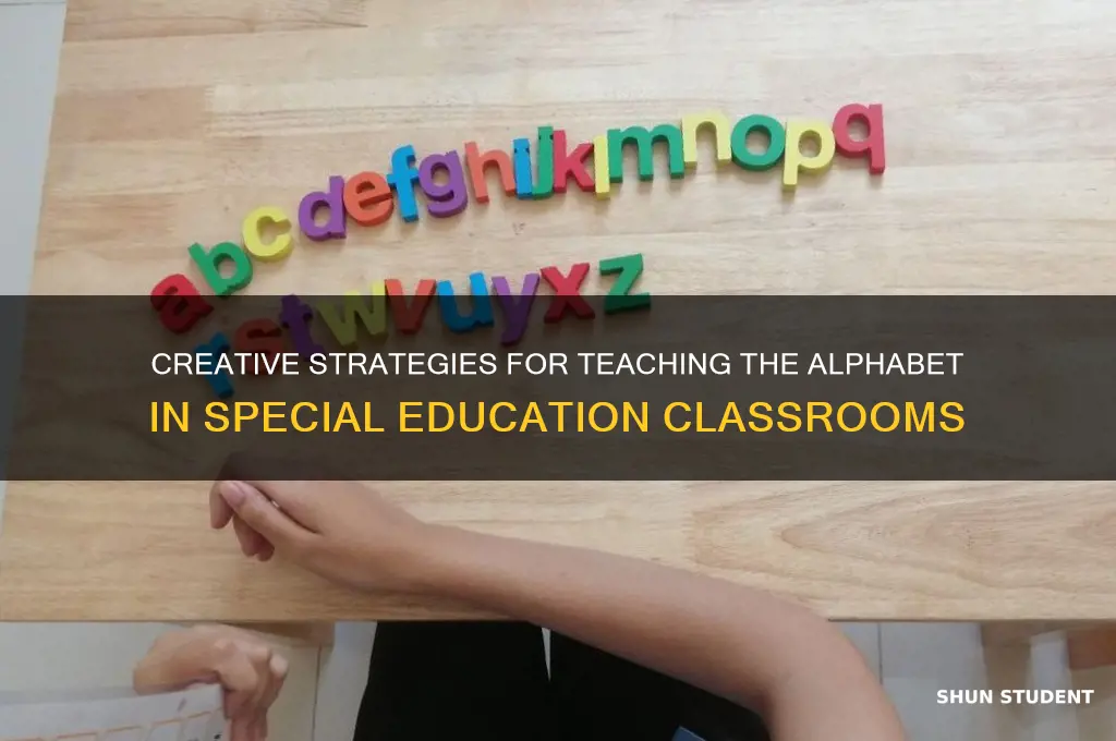 how to teach the alphabet to students in special ed