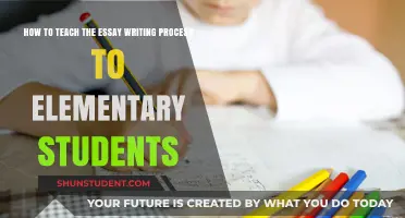 Mastering Essay Writing: A Step-by-Step Guide for Elementary Students
