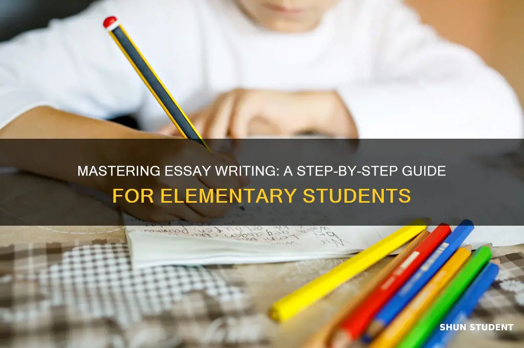 how to teach the essay writing process to elementary students