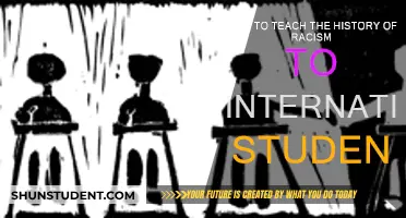Teaching Racism's History to International Students