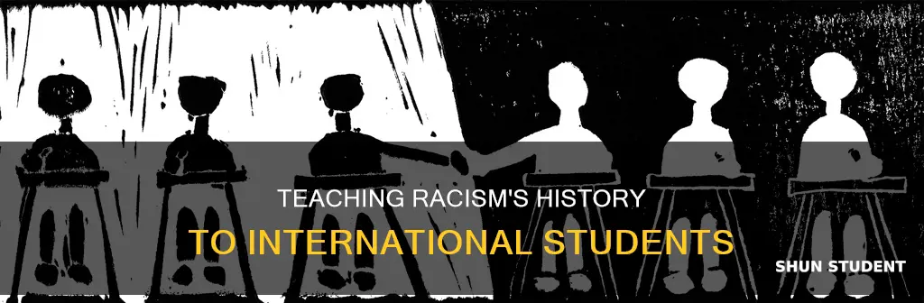 how to teach the history of racism to international students