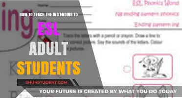 Mastering the -ing Ending: Effective Strategies for Adult ESL Learners