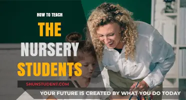 Effective Strategies for Engaging and Teaching Nursery Students Successfully
