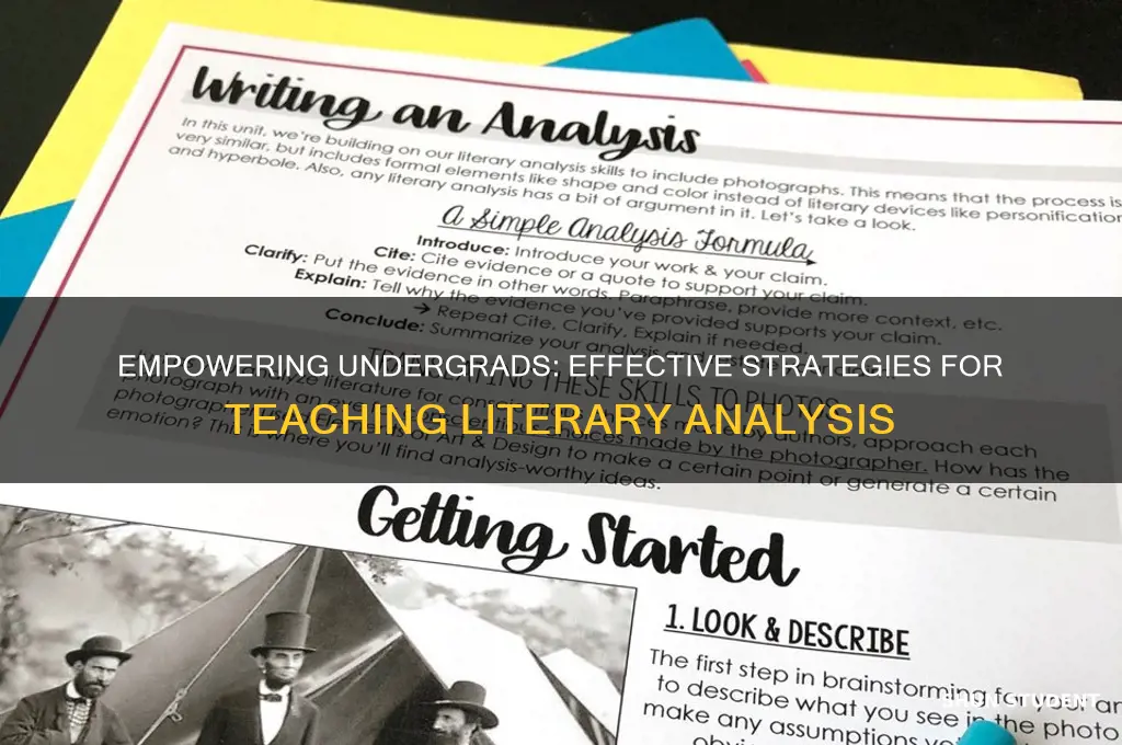 how to teach the other to undergrad literary students
