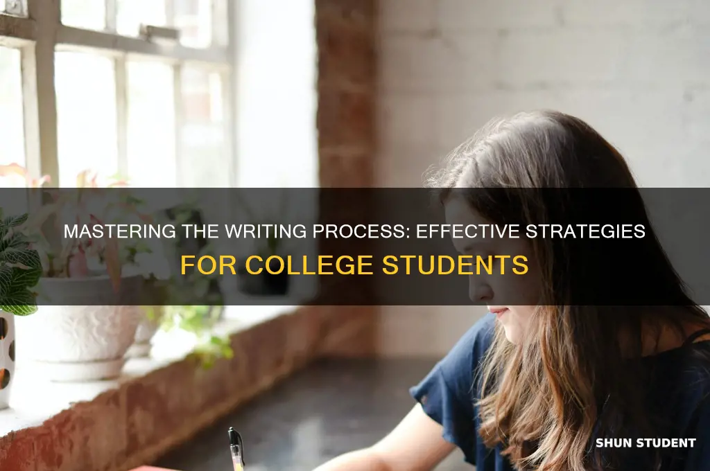 how to teach the writing process to college students