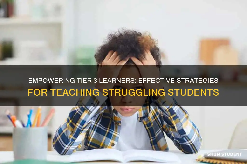 how to teach tier 3 students