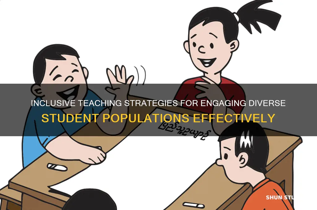 how to teach to a diverse classroom of students