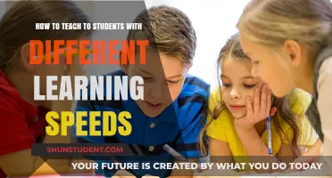 Tailoring Teaching Strategies for Diverse Learning Paces in the Classroom