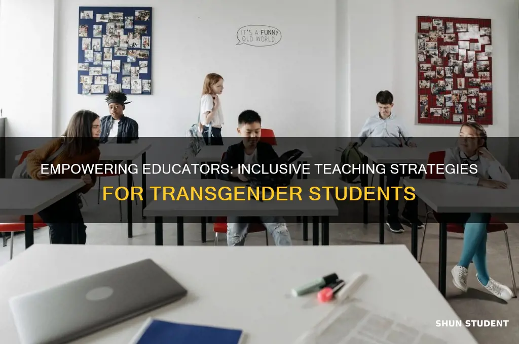 how to teach transgender students