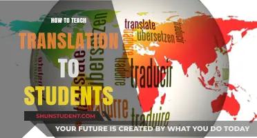 Effective Strategies for Teaching Translation Skills to Students