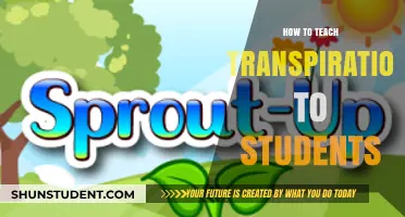 Teaching Transpiration: Engaging Strategies for Student Understanding and Exploration