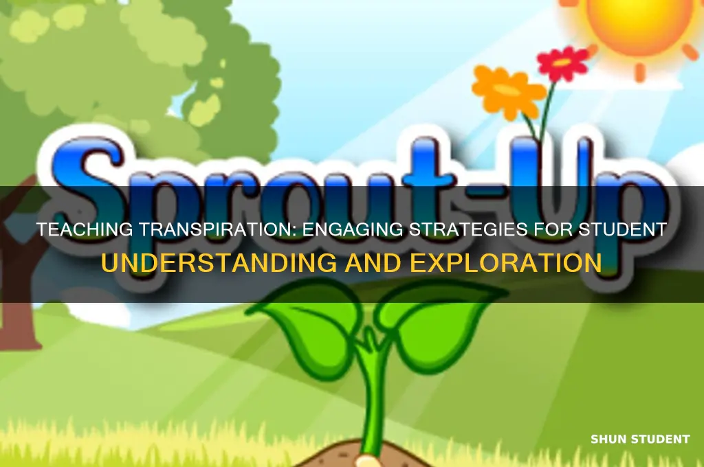 how to teach transpiration to students