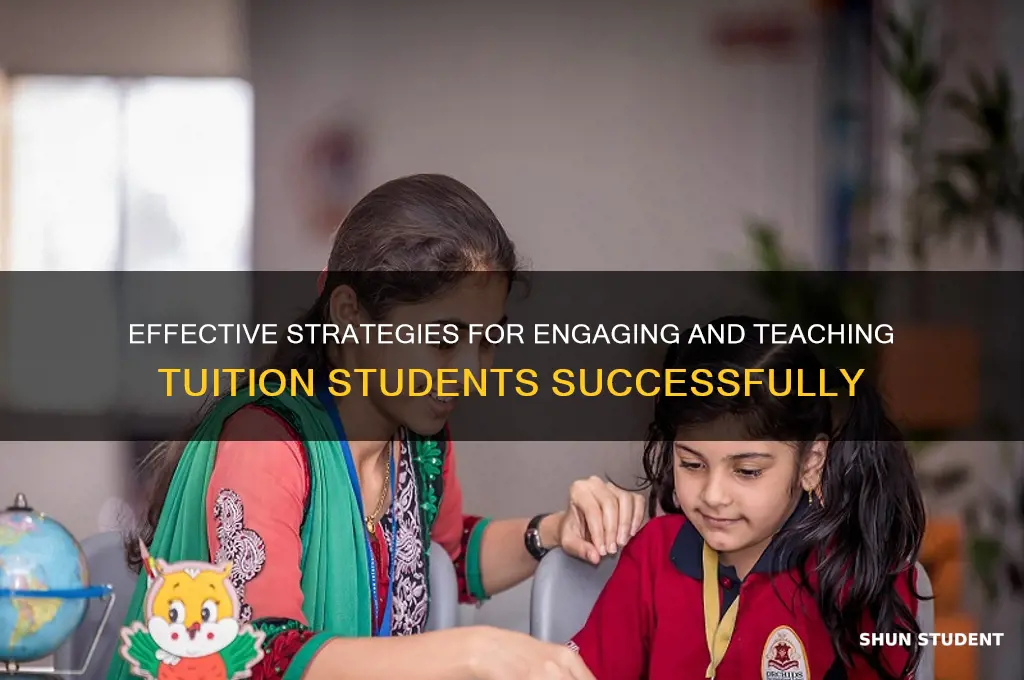 how to teach tuition students