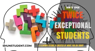 Empowering Twice Exceptional Learners: Strategies for Teaching Gifted Challenges