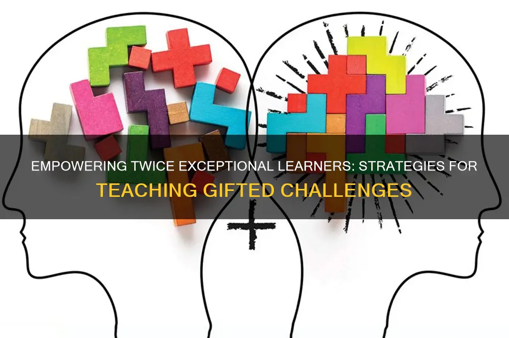 how to teach twice exceptional students
